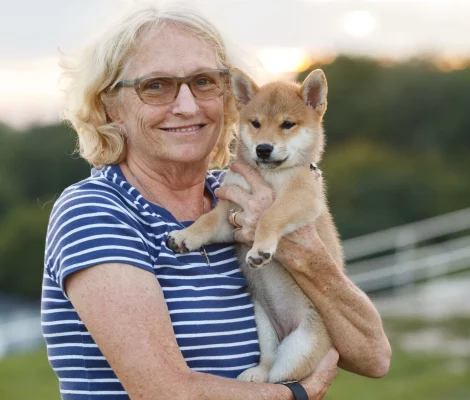 shiba inu breeder